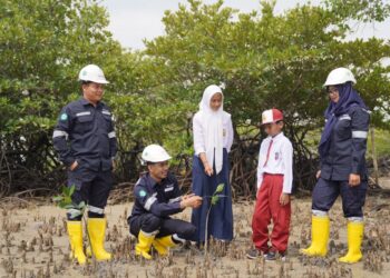 Gencarkan Penanaman Mangrove, Gerakan Nyata PT Timah Mitigasi Perubahan Iklim 