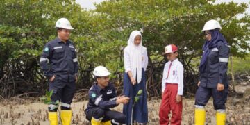 Gencarkan Penanaman Mangrove, Gerakan Nyata PT Timah Mitigasi Perubahan Iklim 