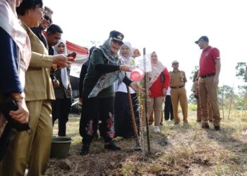 Semarak Babel 2024, Pemkot Pangkalpinang Tanam 700 Bibit Pohon