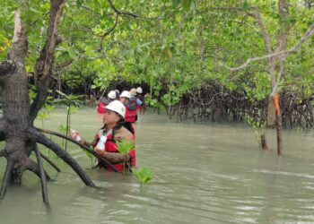 Rutin Lakukan Pemantauan Bioata Laut, Komitmen PT Timah Menjaga Keseimbangan Ekosistem Pesisir