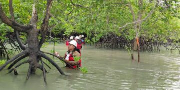 Rutin Lakukan Pemantauan Bioata Laut, Komitmen PT Timah Menjaga Keseimbangan Ekosistem Pesisir