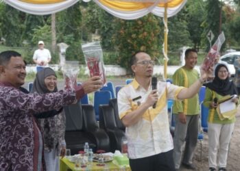 Tekan Inflasi, Pemkab Bangka Tengah dan Petani Tanam 50.000 Cabai Merah