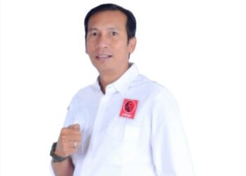 Hidayat-Hellyana Menang Pilgub, Ketua Projo Bateng Ucapkan Terima kasih