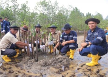 PT Timah Tbk Tanam Ribuan Mangrove di Pantai Batu Kucing, Kolaborasi dengan Masyarakat Setempat