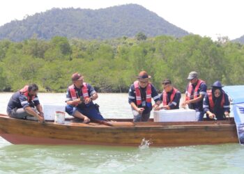 PT Timah Lepaskan Ribuan Bibit Kepiting Bakau