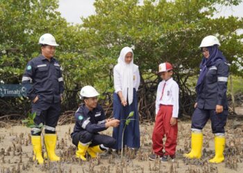 Penanaman Pohon Berkelanjutan, Salah Satu Upaya PT Timah Rehabilitasi Lahan Kritis