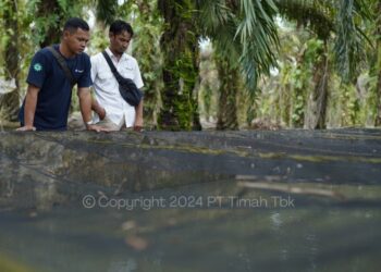 Kelompok Usaha Sumber Rezeki Bangka Barat Terima Bantuan Usaha dari PT Timah