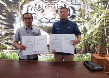 Tingkatkan Kapasitas Listrik untuk Operasional Lebih Efisien, PT Timah dan PLN Jalin Kolaborasi