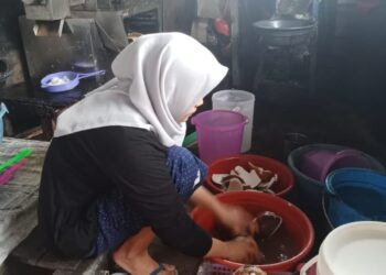 Usaha Pakaian Beralih ke Peras Kelapa, Transformasi Usaha Nuriah bersama PT Timah