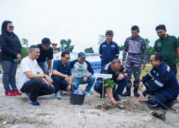 Penanaman 500 Bibit Pohon Buah, Rangkaian Peringatan Bulan K3 Nasional PT Timah