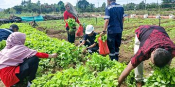 Farm Estate Tanjung Ular Ciptakan Kesempatan Kerja Bagi Masyarakat