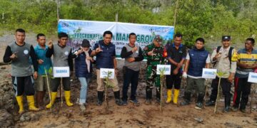 Mangrove untuk Pesisir Berkelanjutan, PT Timah Kembali Tanam Ribuan Mangrove di Desa Sawang Laut 