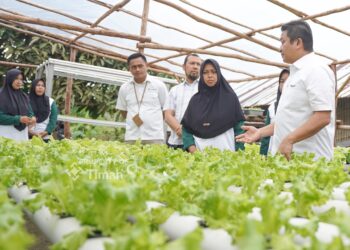 Gerakkan Program Hidroponik di Desa Sawang Laut, Upaya PT Timah Dorong Pemberdayaan Ekonomi Lokal