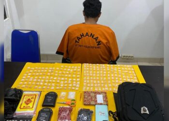 248 Paket Sabu Siap Edar Berakhir Diamankan Polda Babel, Disimpan Pelaku di Hutan
