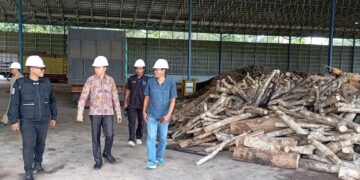 Kehadiran Pabrik Wood Chip di Babel, Bantu Pasok Kebutuhan Biomassa PLTU Air Anyir