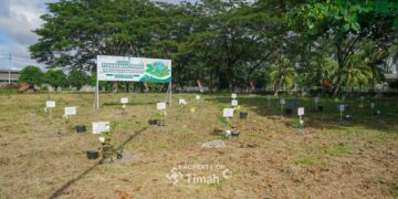 PT Timah Tanam 1500 Pohon Angsana di Taman Energi Balai Karya, Kolaborasi dengan METI-PLN