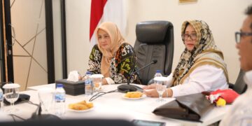 Hellyana Ingin Jadikan Pulau Belitung Sebagai Carbon Free Island