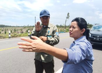 Penopang Air Bendungan Ditanami Sawit, Petani Padi Desa Rias Minta Perhatian Presiden, DPRD Babel Desak Tim Satgas Bertindak!