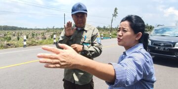 Penopang Air Bendungan Ditanami Sawit, Petani Padi Desa Rias Minta Perhatian Presiden, DPRD Babel Desak Tim Satgas Bertindak!