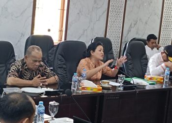Rina Tarol: Jangan Hanya Kejar Pajak Kendaraan, Tapi Abai Potensi Sektor Lainnya