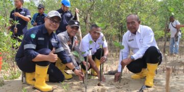 PT Timah Tanam 2500 Bibit Mangrove
