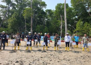 Tanam Ribuan Pohon Mangrove di Pesisir Pantai Tanjung Labun Untuk Cegah Abrasi 