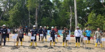 Tanam Ribuan Pohon Mangrove di Pesisir Pantai Tanjung Labun Untuk Cegah Abrasi 