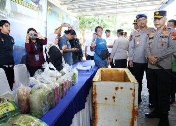 Belasan Kilogram Sabu ‘Tak Bertuan’ di Pantai Belinyu Berhasil Diendus Polda Babel