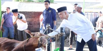 Polda Babel Potong 55 Hewan Kurban, 3 Ribu Kupon Daging Dibagikan ke Warga