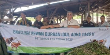 Idul Adha 1446 Hijriah, PT Timah Tebar Ratusan Hewan Kurban di Empat Provinsi