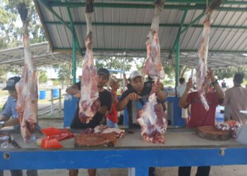 Warga Kesatuan Islam Tionghoa hingga Petugas Kebersihan Terima Daging Kurban, PT Timah Berbagai di Momen Idul Adha