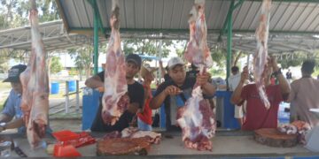 Warga Kesatuan Islam Tionghoa hingga Petugas Kebersihan Terima Daging Kurban, PT Timah Berbagai di Momen Idul Adha