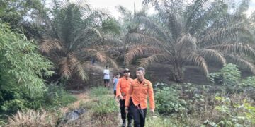 Pemuda Dusun Ibul Bangka Barat Hilang di Kebun Sawit, Ternyata Warga Sempat Lihat Korban Berjalan