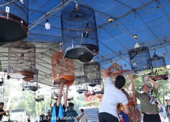 Ratusan Kicau Mania Adu Gacor di Polda Babel, Meriahkan Hari Bhayangkara ke-79