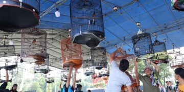 Ratusan Kicau Mania Adu Gacor di Polda Babel, Meriahkan Hari Bhayangkara ke-79