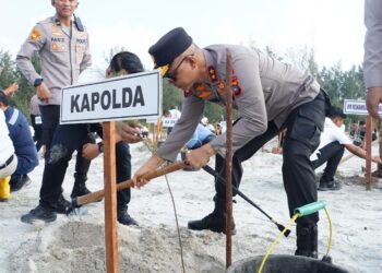 Polda Babel Tanam Ribuan Pohon di Lahan Eks Tambang, Kapolda: Bakti untuk Bumi Serumpun Sebalai