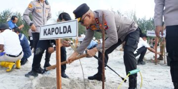 Polda Babel Tanam Ribuan Pohon di Lahan Eks Tambang, Kapolda: Bakti untuk Bumi Serumpun Sebalai