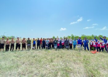 Peringati Hari Mangrove Sedunia, PT Timah dan HNSI Bangka Tanam Ribuan Mangrove