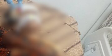 Siswa SD Meninggal Diduga Dibully di Bangka Selatan, Ternyata Pernah Mengadu ke Guru Sekolah