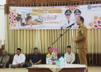 Pemkab Bateng Terima 63 Ekor Sapi Kurban dari CSR dan ASN, Siap Disalurkan ke Masyarakat