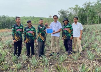PT Timah Bantu Petani Lewat Bibit Tanaman