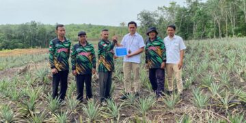 PT Timah Bantu Petani Lewat Bibit Tanaman