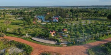 PT Timah Fokus Pulihkan Lingkungan Pascatambang, Selain Tingkatan Produksi