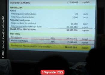 Investor Kelapa Siap Masuk Babel, Administrasi Lahan Diminta Segera Diselesaikan