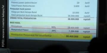Investor Kelapa Siap Masuk Babel, Administrasi Lahan Diminta Segera Diselesaikan