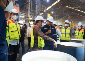Jadi Rebutan Dunia, PT Timah Dipercaya Mampu Kembangkan Rare Earth