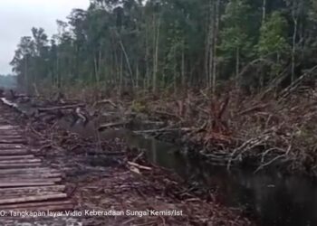 Ribuan Hektare Sawah Dua Desa di Bangka Selatan Terancam, DAS-Lahan Desa Digarap Sawit