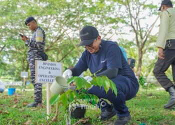Mitigasi Perubahan Iklim dan Dukung Ekonomi Masyarakat, PT Timah Tbk Laksanakan Program 1000 Pohon