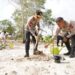 Kapolda Babel Tanam Pohon di Negeri Laskar Pelangi, Ajak Masyarakat Jaga Kelestarian Lingkungan