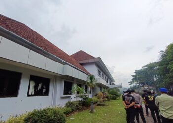 Pasca Aksi Penambang, PT Timah Sepakati Harga Timah Rp300 Ribu dan Buka Skema Mitra-Koperasi